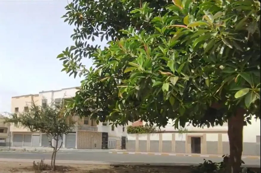 Appartement Anouar Souss 阿加迪尔